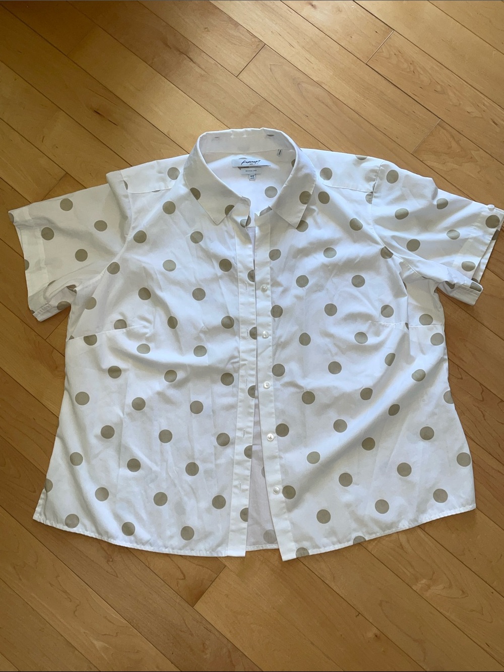 Foxcroft White Shirt with Beige Green Polka Dots 18W button down wrinkle free